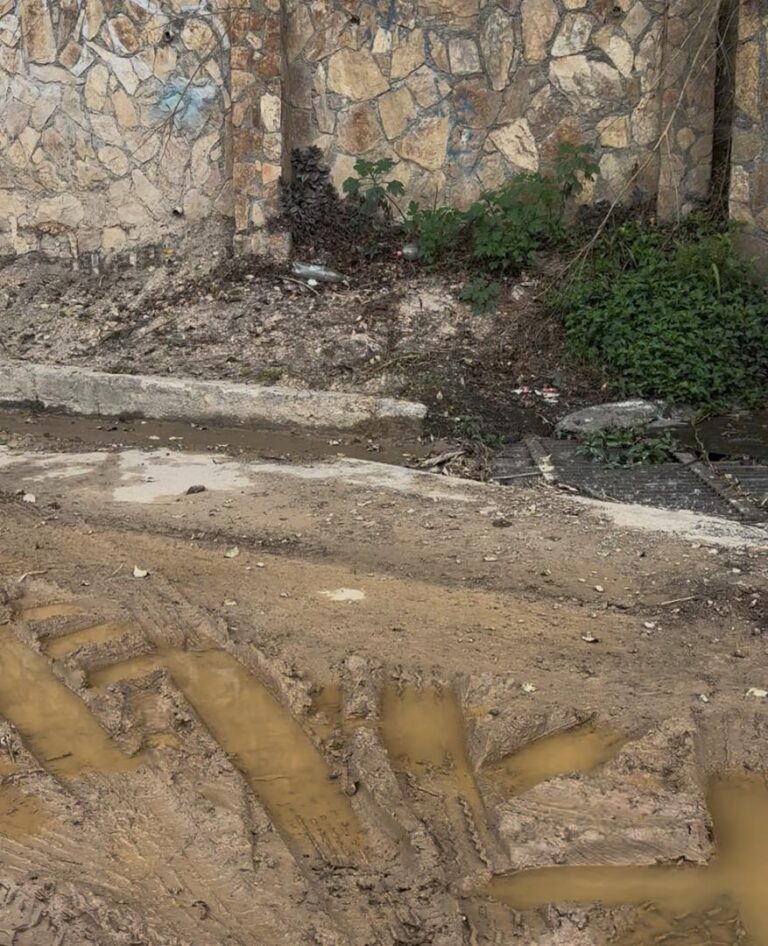 WhatsApp Image 2026-04-26 at 2.01.42 PM