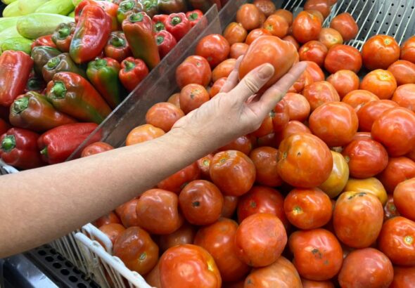 WhatsApp Image 2026-04-26 at 2.44.54 PM (1)