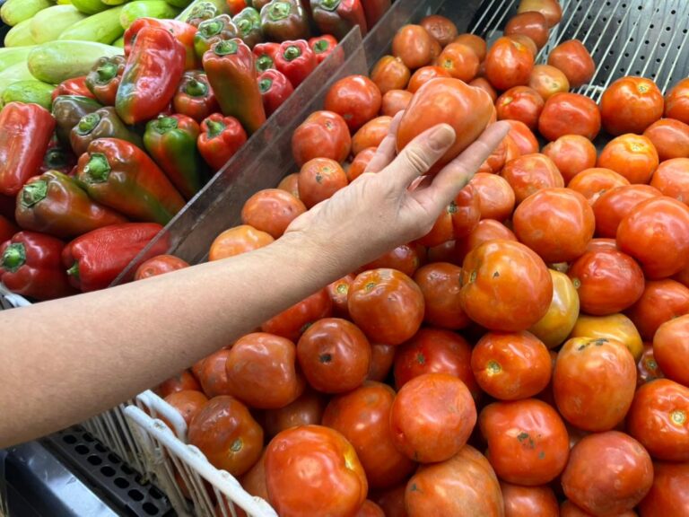 WhatsApp Image 2026-04-26 at 2.44.54 PM (1)