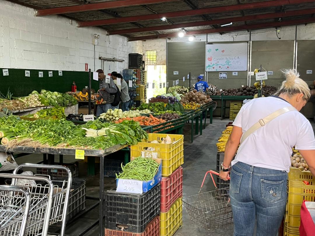 WhatsApp Image 2026-04-26 at 2.44.54 PM (3)