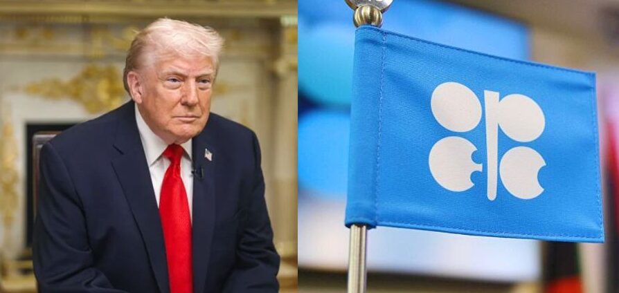 WhatsApp Image 2026-04-29 at 5.32.08 PM