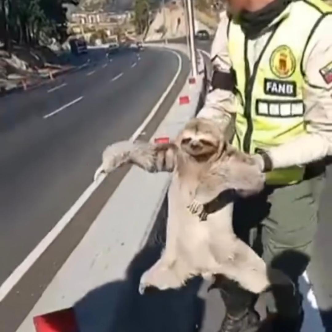 a082f336-0556-493f-a3b1-c088654ebaa2