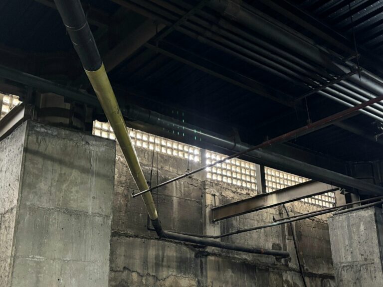 foto mercado plaza 1