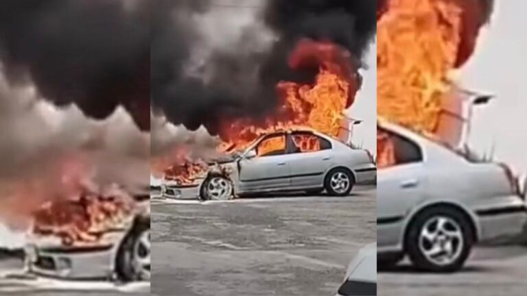 para fotos de la web (31)