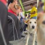 para fotos de la web (39)