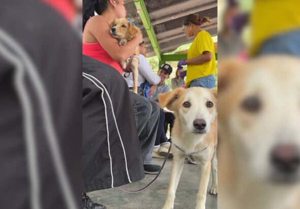 para fotos de la web (39)