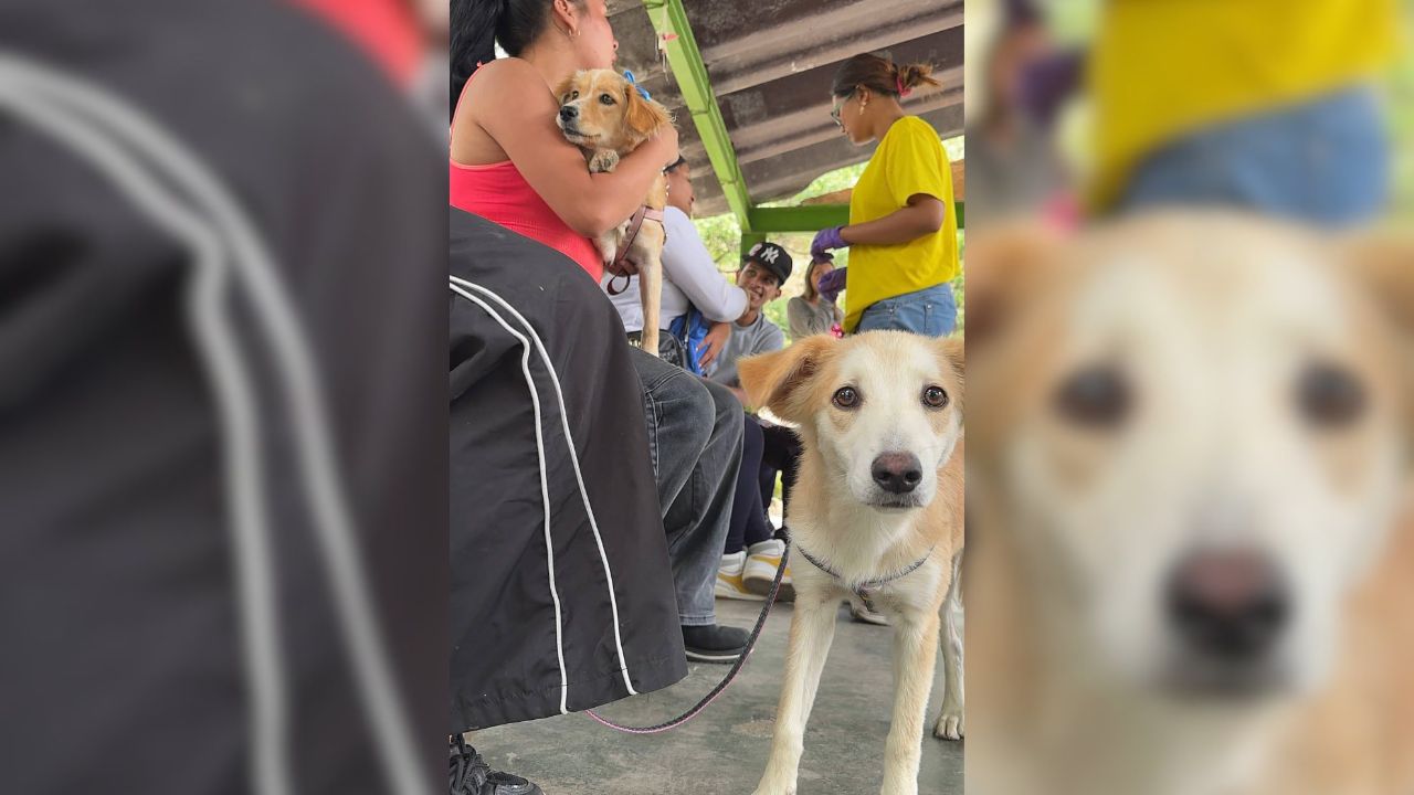 para fotos de la web (39)