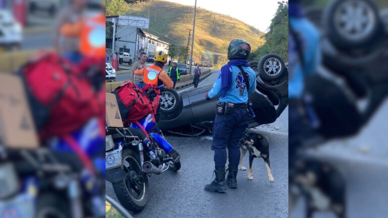 para fotos de la web (46)