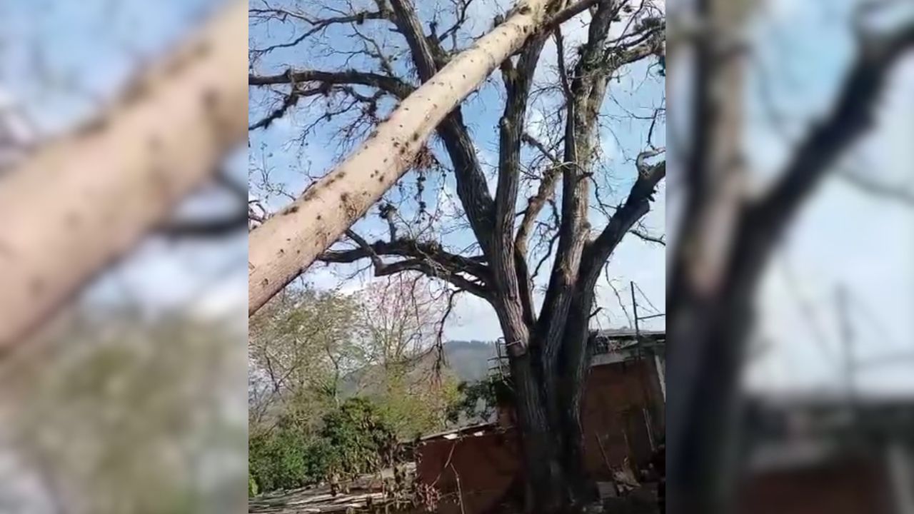 para fotos de la web (54)