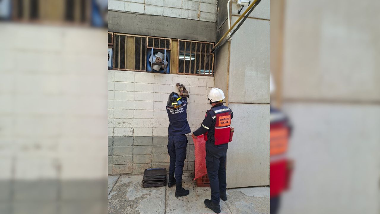 para fotos de la web (61)