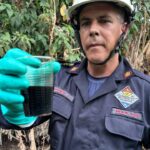 para fotos de la web (69)