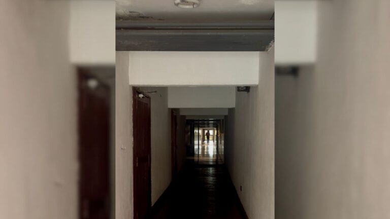 para fotos de la web (79)