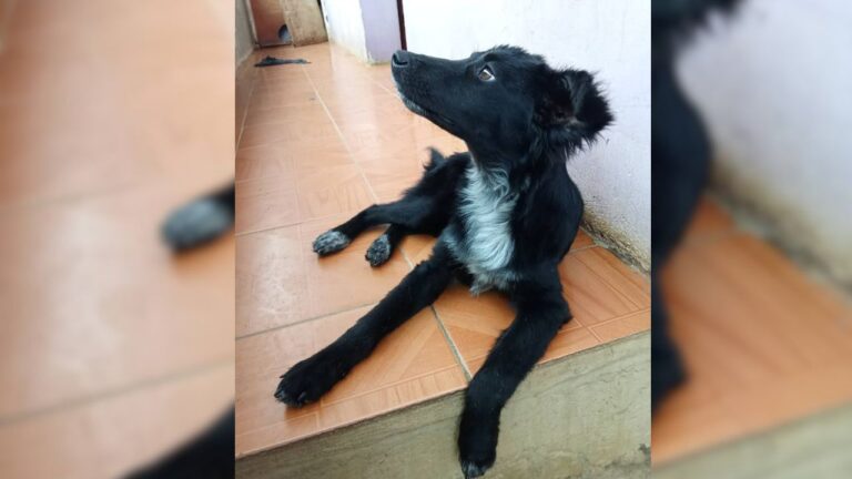 para fotos de la web (96)