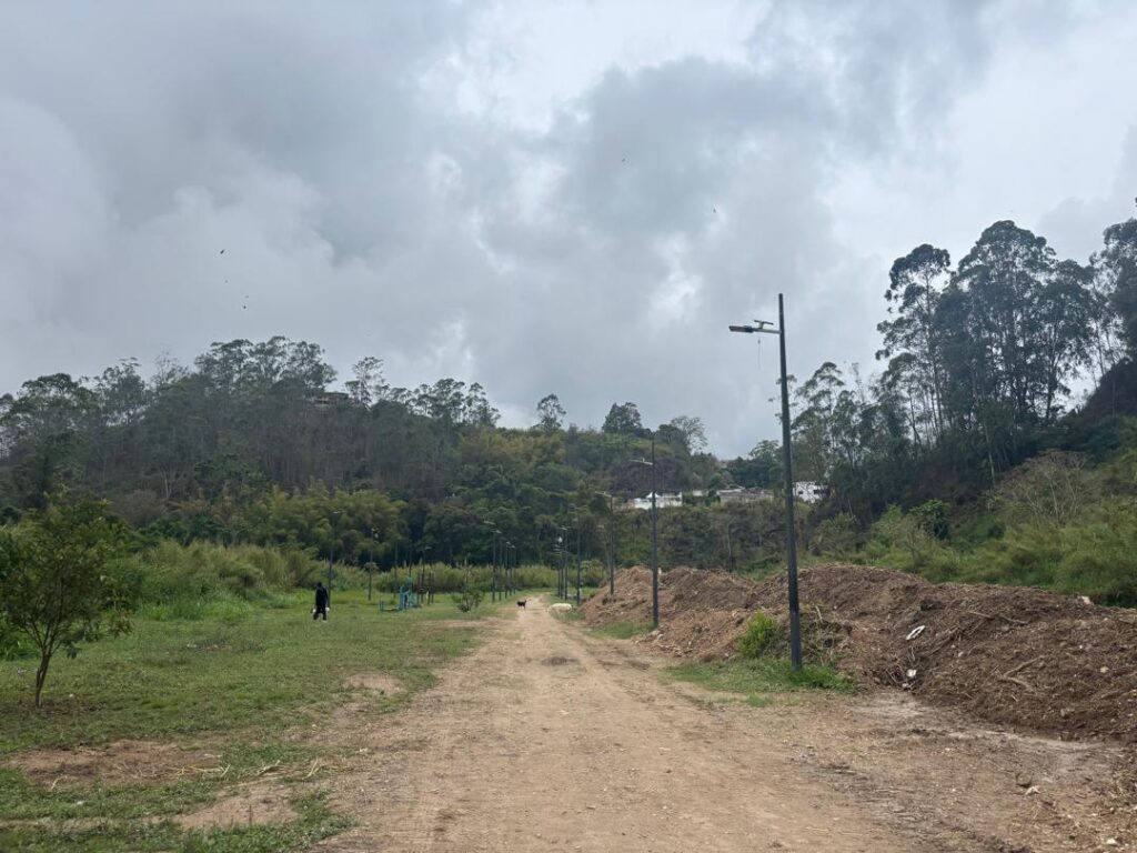 Proyecto de parque ecológico en Carrizal verá luz este año