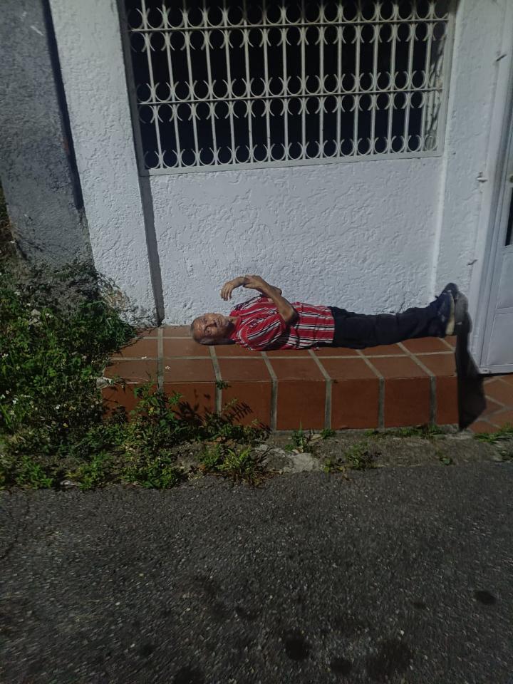 adulto