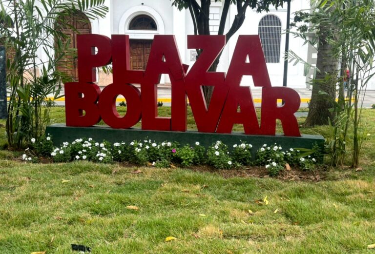 foto cesped plaza bolivar