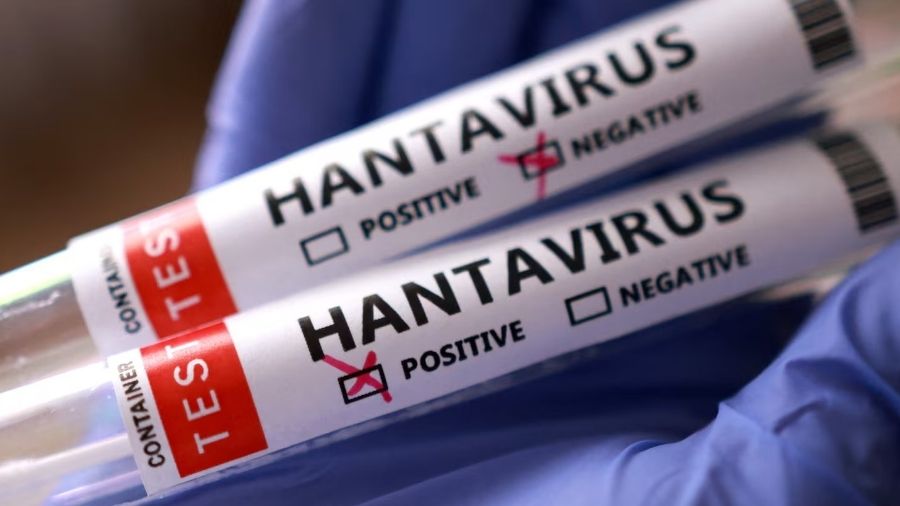 hantavirus