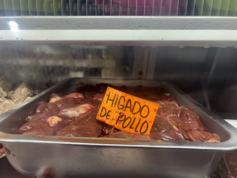 hígado