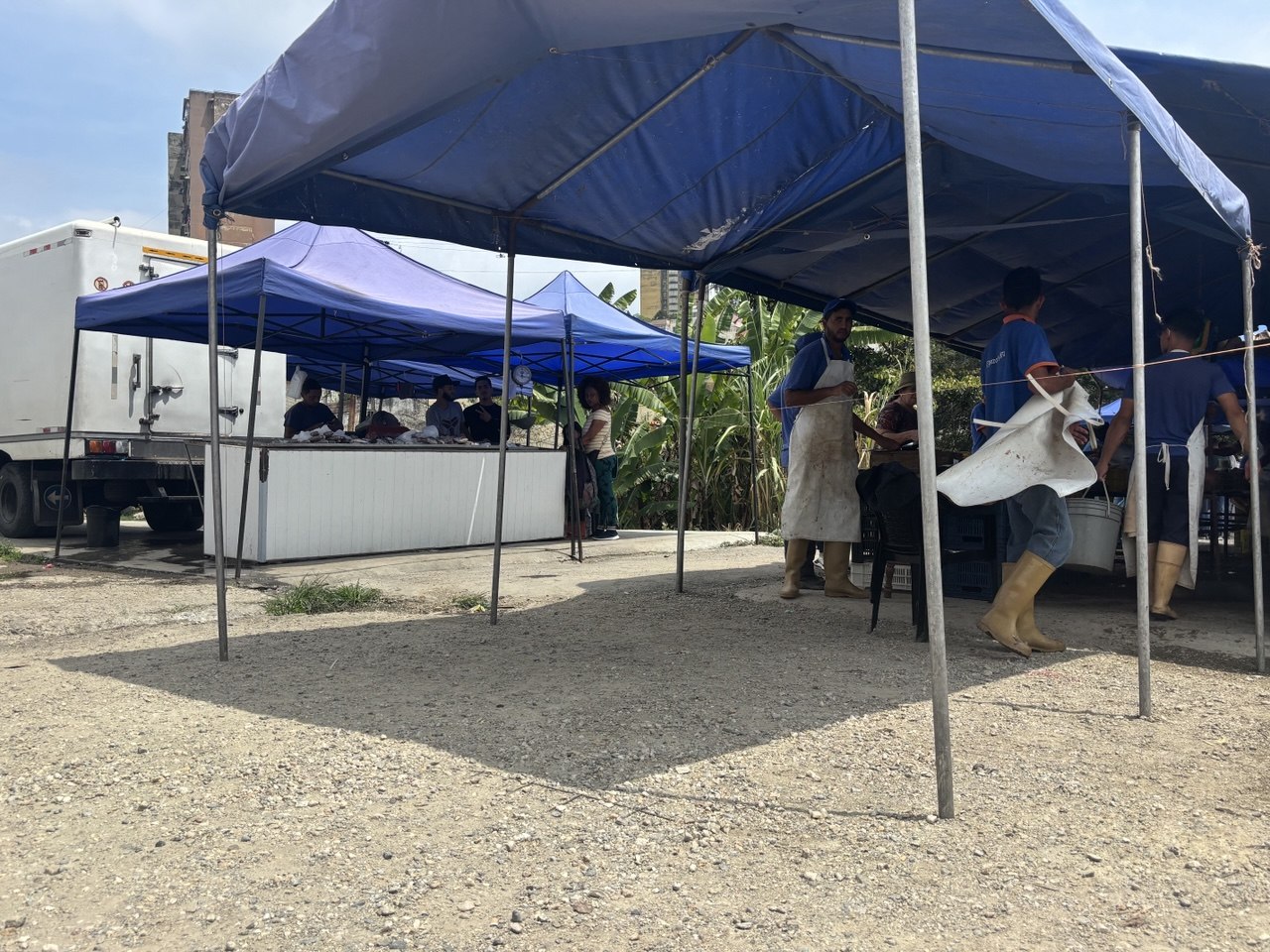 mercado