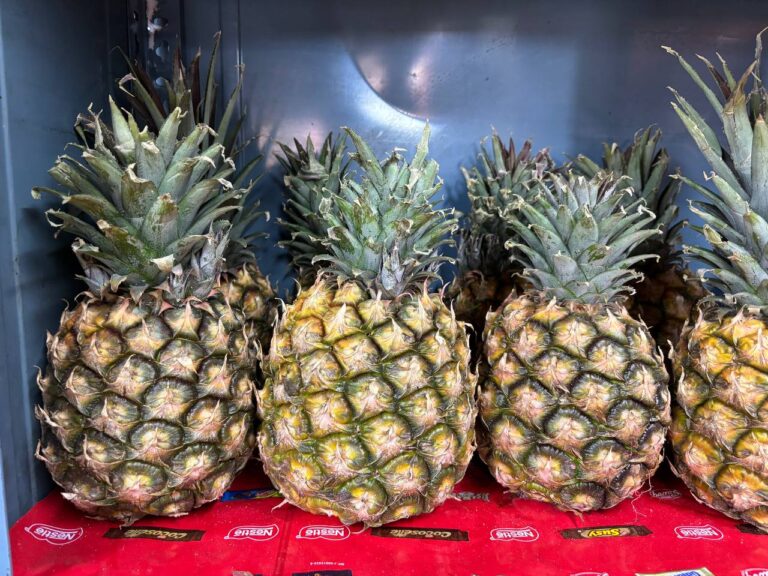piñas