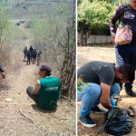 Hallan-a-dos-cachorras-degolladas