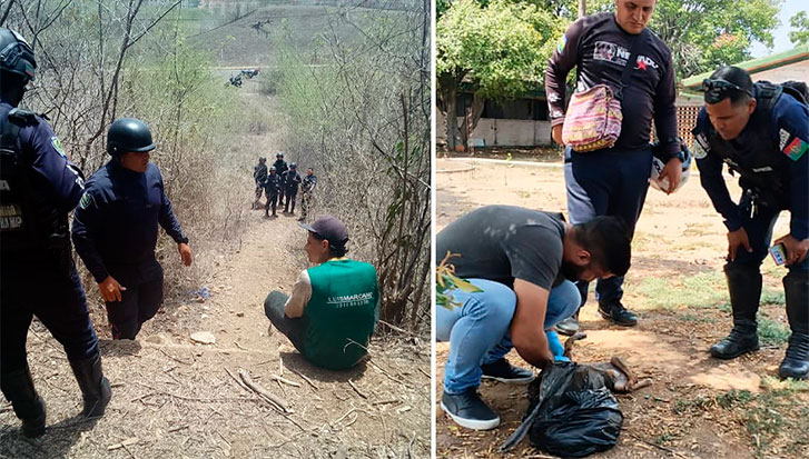 Hallan-a-dos-cachorras-degolladas