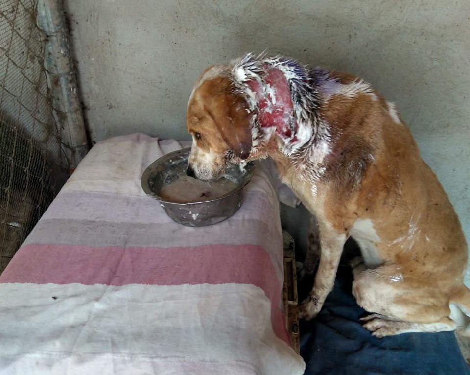 c003e708-cf56-4725-8623-7e3691bb0a0a