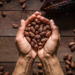 cacao