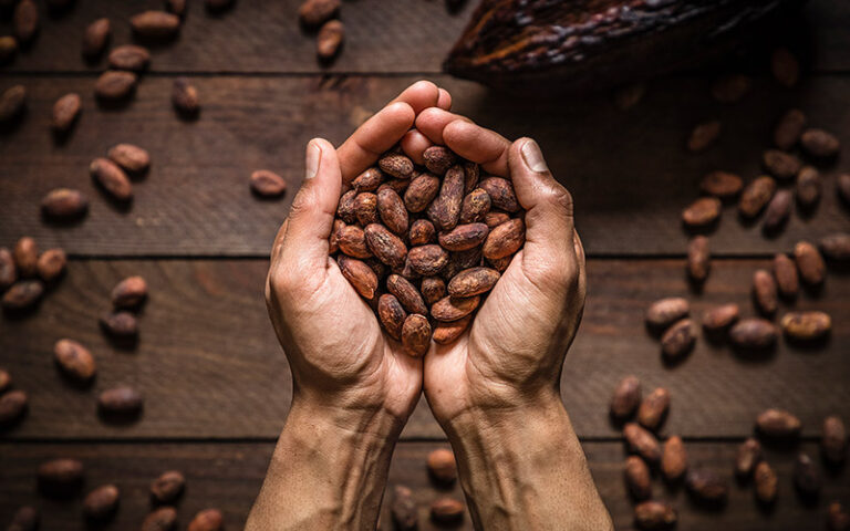 cacao