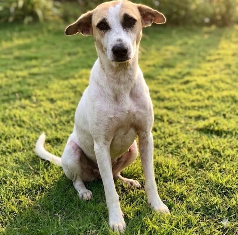 niña