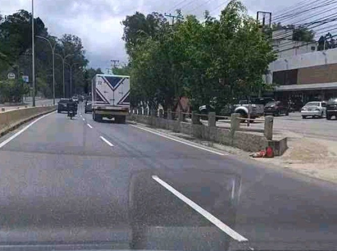 panamericana