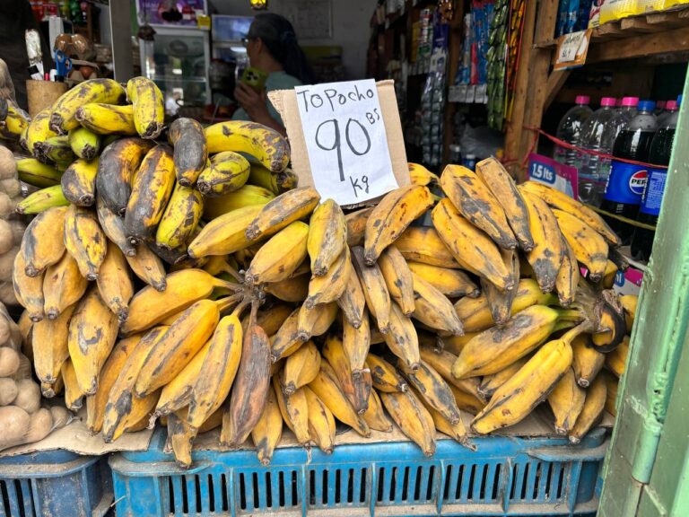 plátano