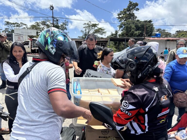 voluntarios 1