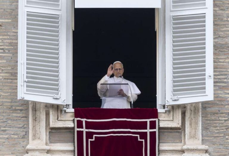 El papa agradece la acogida del pueblo de las Islas Canarias al crucero MV Hondius