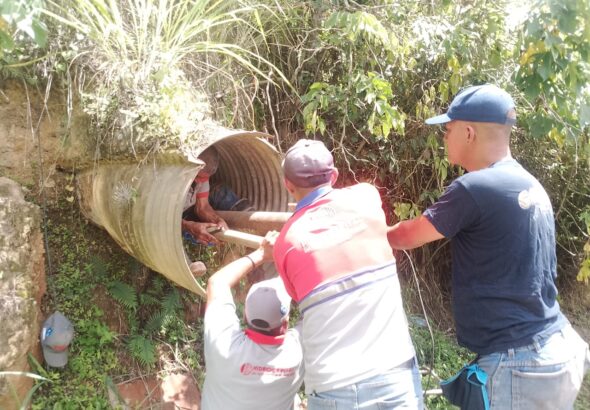 WhatsApp Image 2026-07-28 at 11.51.01 AM