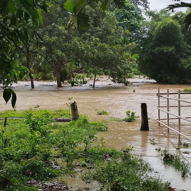crecida de rio