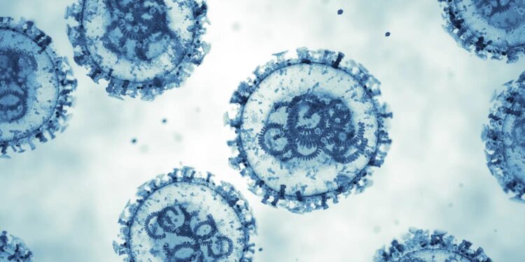 hm-hantavirus-thumbnail.webp-750x375