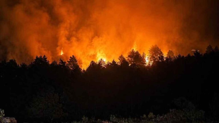incendios