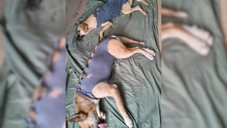 para fotos de la web (6)