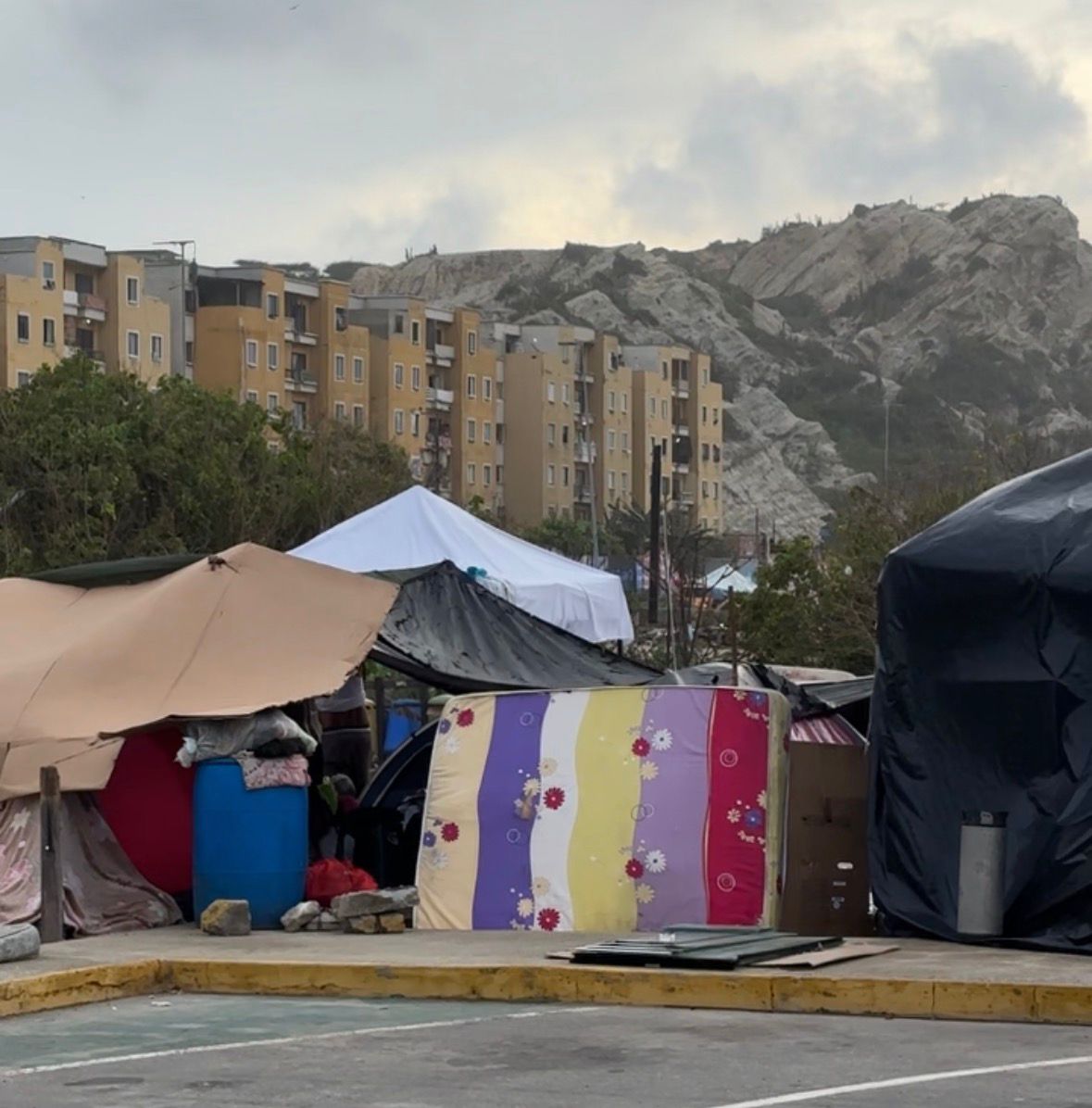 permanecen en carpas