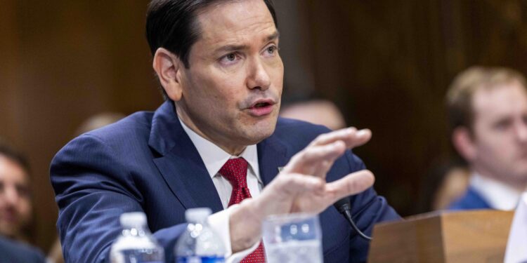 rubio