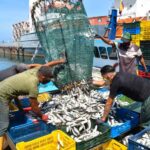PESCA