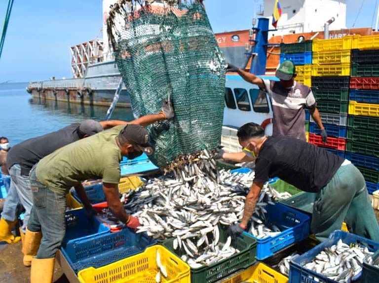 PESCA