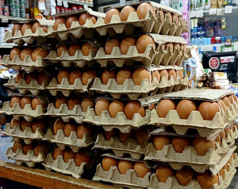 huevos