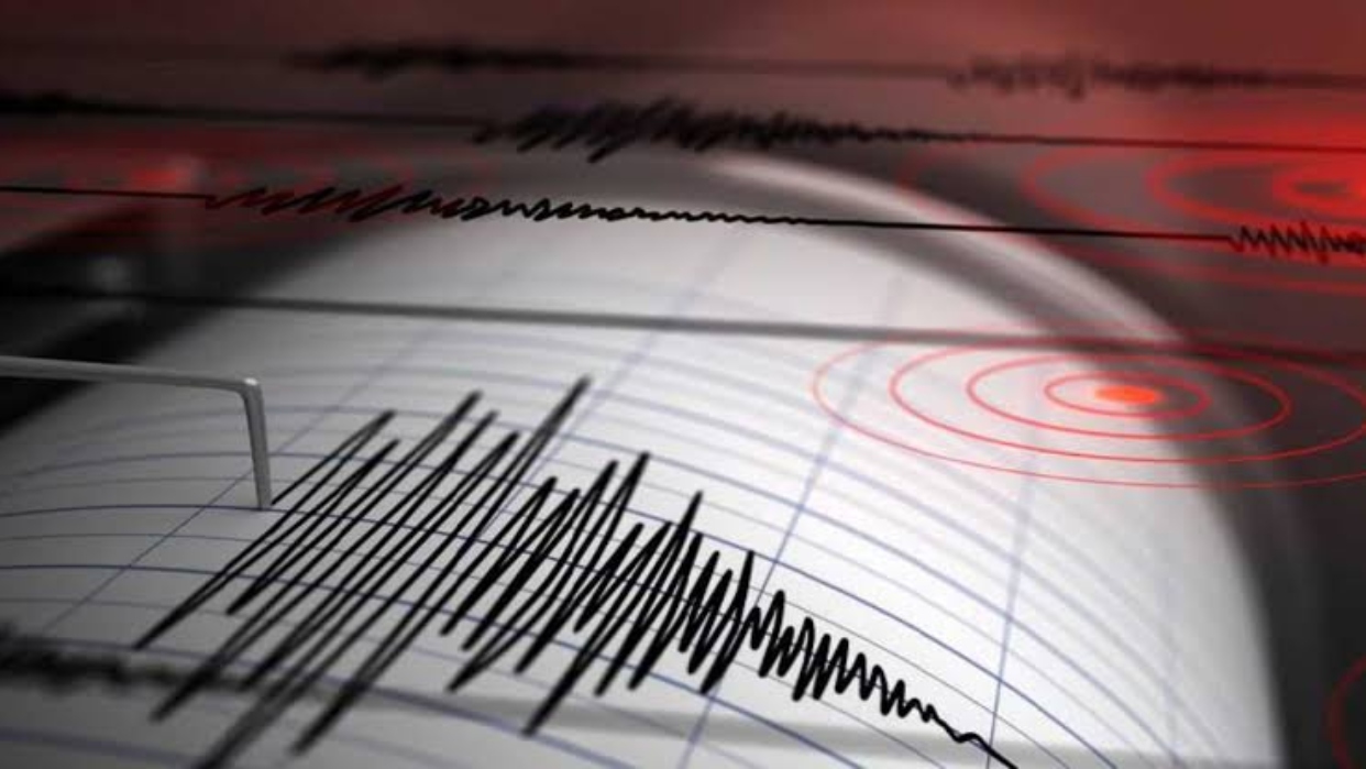monitor-sismo-205135