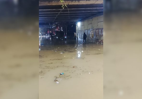 para fotos de la web