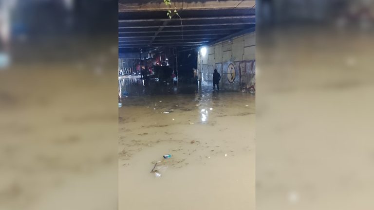 para fotos de la web