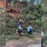 para fotos de la web (24)