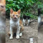 para fotos de la web (33)