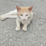 para fotos de la web (37)